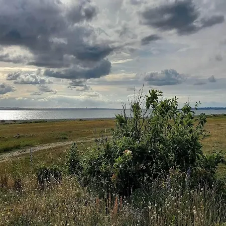 6 Person In Dom wakacyjny *