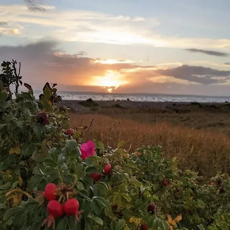 6 Person In * Knebel